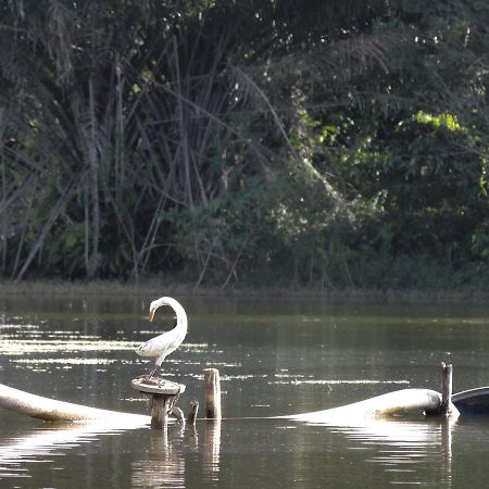 Pousada Paraiso Verde Conde  Exteriér fotografie