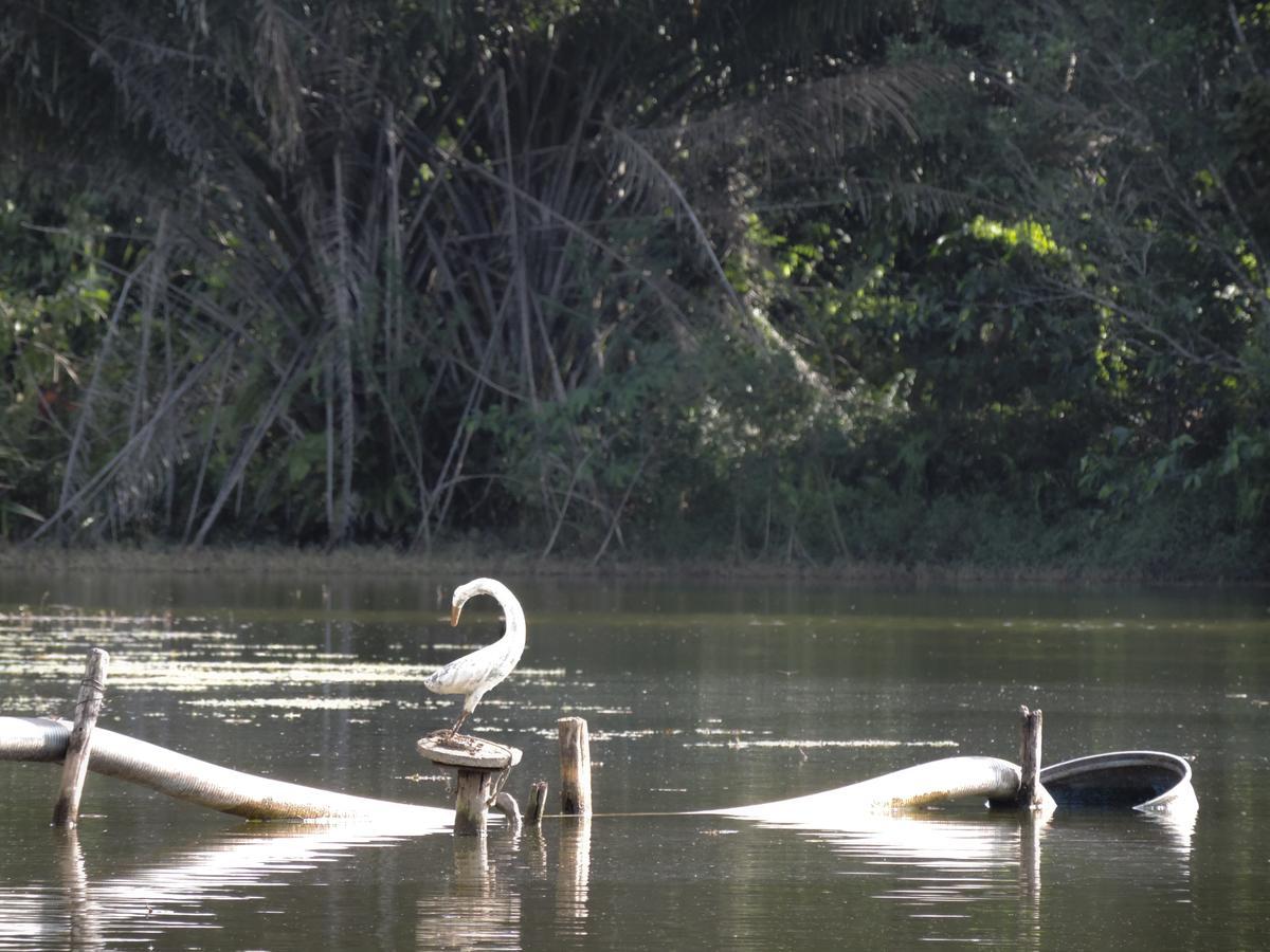 Pousada Paraiso Verde Conde  Exteriér fotografie