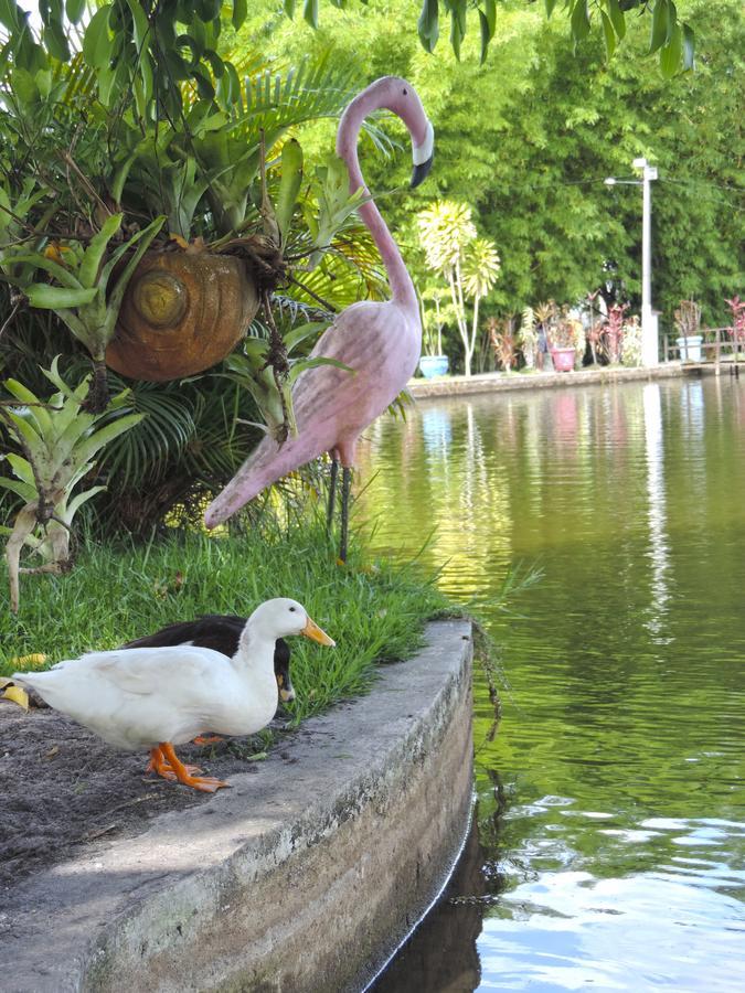 Pousada Paraiso Verde Conde  Exteriér fotografie
